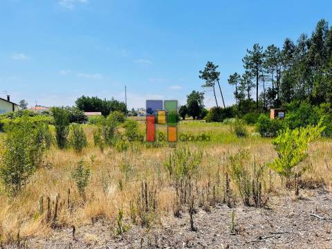 Terreno Urbano  Venda em Fonte de Angeão e Covão do Lobo,Vagos