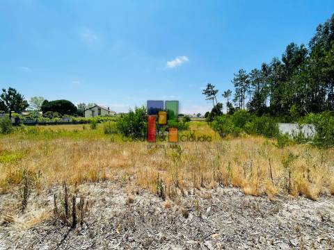 Terreno Urbano  Venda em Fonte de Angeão e Covão do Lobo,Vagos