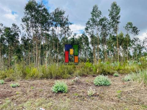 Terreno Rústico  Venda em Covões e Camarneira,Cantanhede