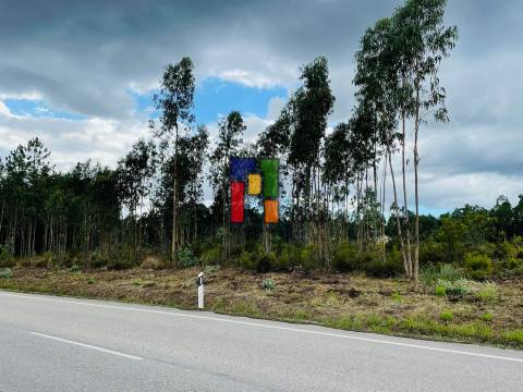 Terreno Rústico  Venda em Covões e Camarneira,Cantanhede