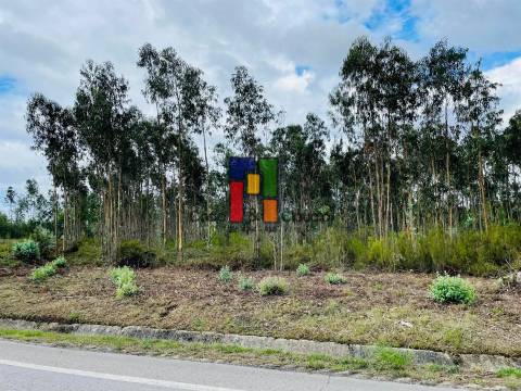 Terreno Rústico  Venda em Covões e Camarneira,Cantanhede