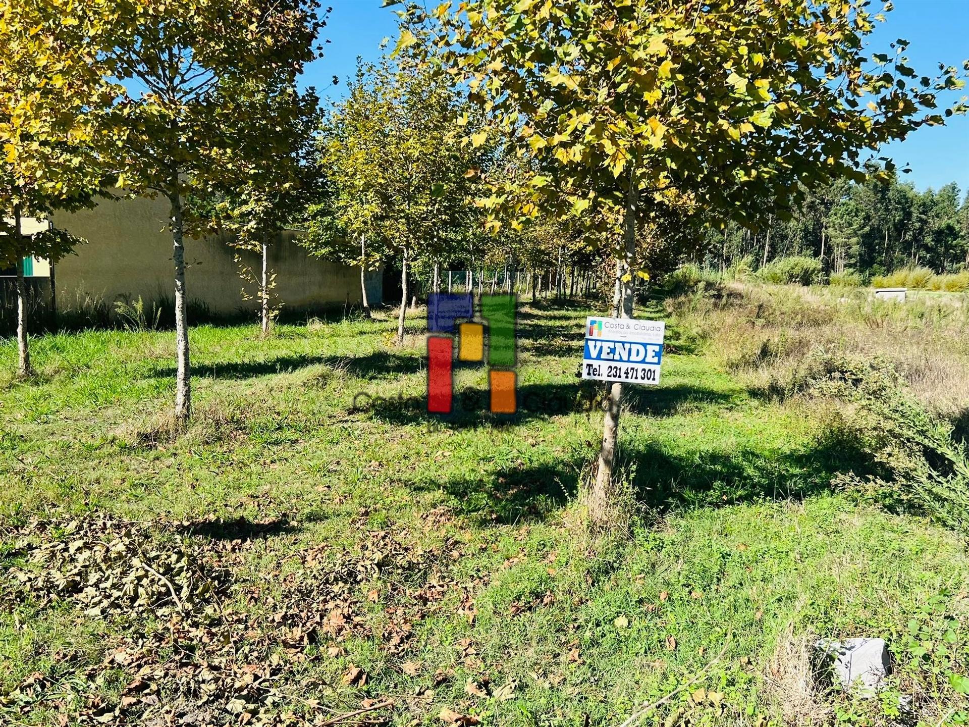 Terreno Urbano  Venda em Vilamar e Corticeiro de Cima,Cantanhede