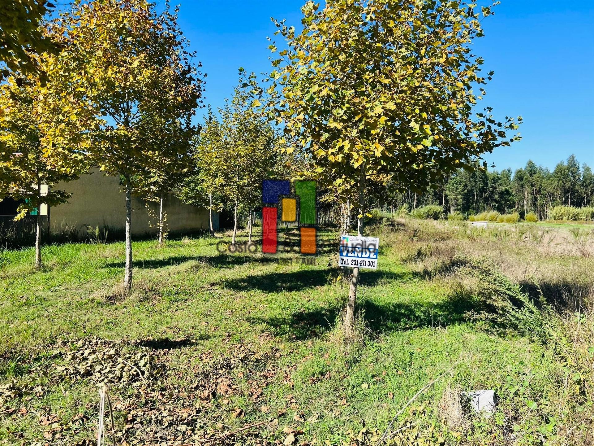 Terreno Urbano  Venda em Vilamar e Corticeiro de Cima,Cantanhede