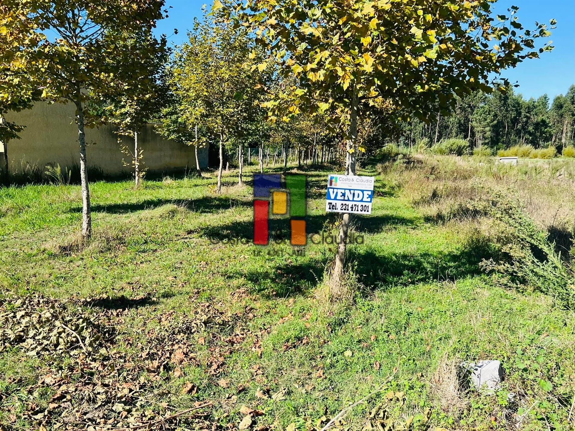 Terreno Urbano  Venda em Vilamar e Corticeiro de Cima,Cantanhede