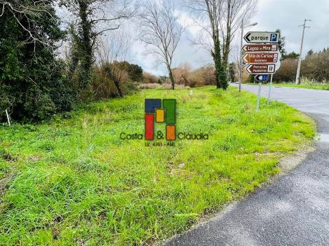 Terreno Rústico  Venda em Mira,Mira