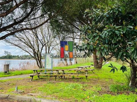 Terreno Rústico  Venda em Mira,Mira