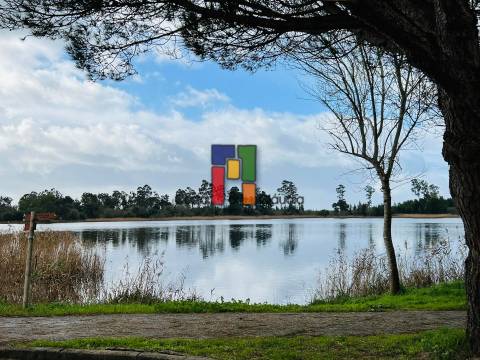 Terreno Rústico  Venda em Mira,Mira
