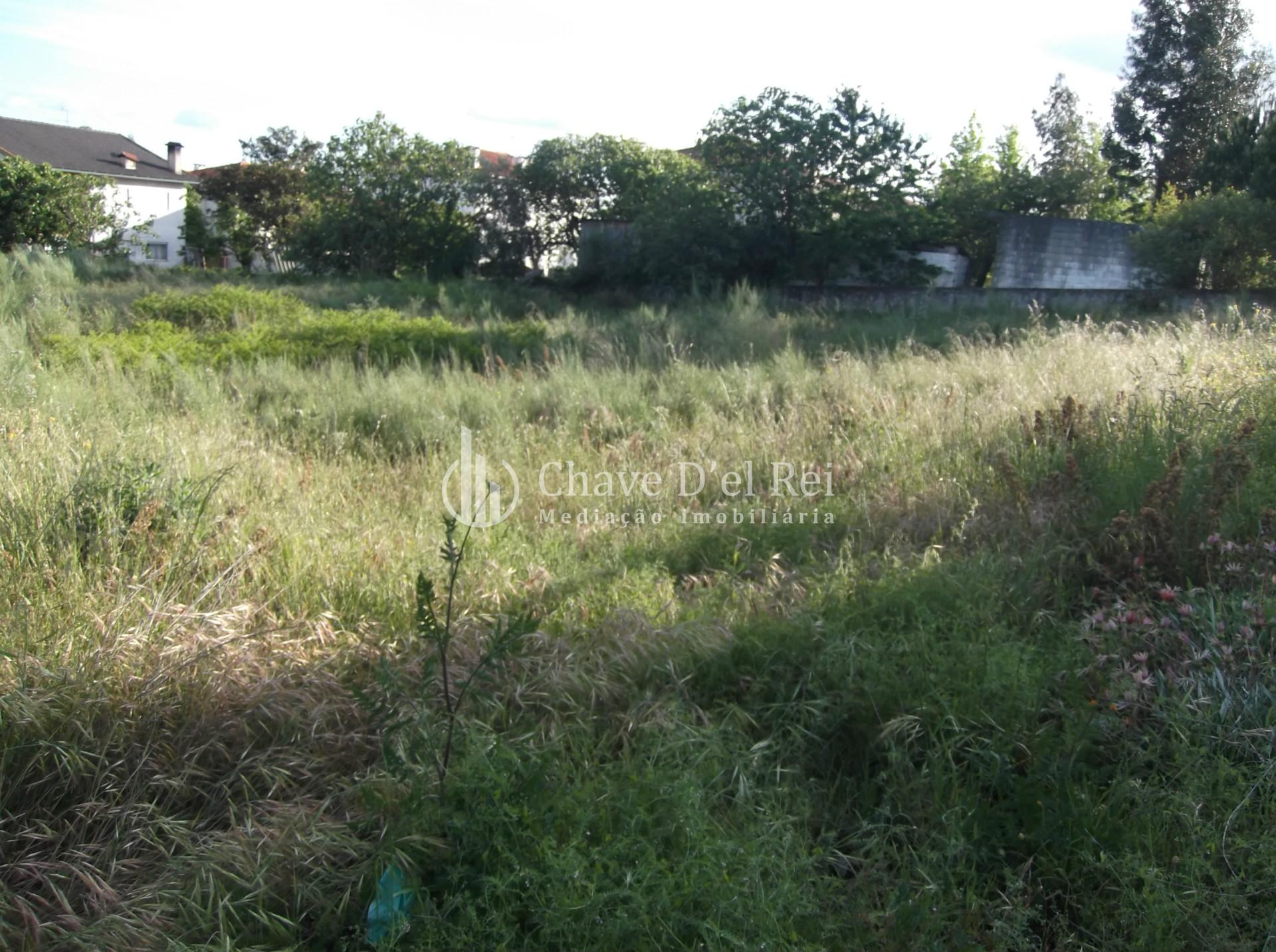 Lote de Terreno  Venda em Rio de Loba,Viseu