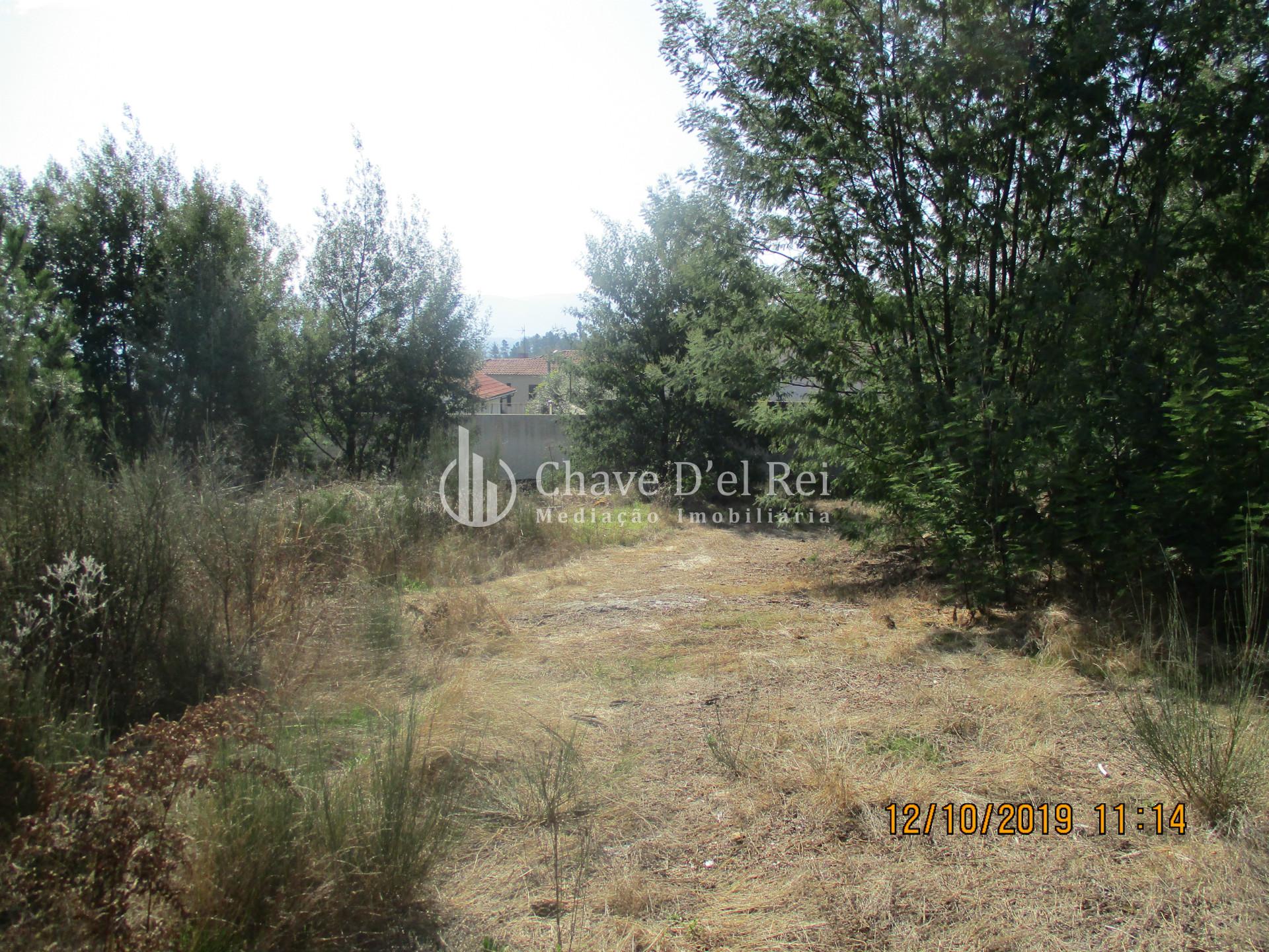 Terreno  Venda em Santiago de Cassurrães e Póvoa de Cervães,Mangualde