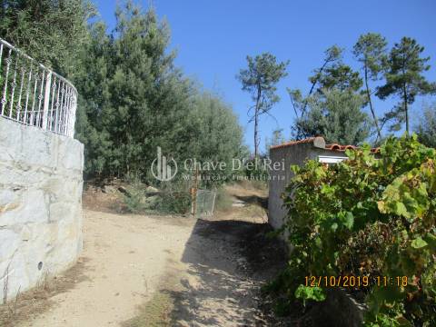 Terreno  Venda em Santiago de Cassurrães e Póvoa de Cervães,Mangualde