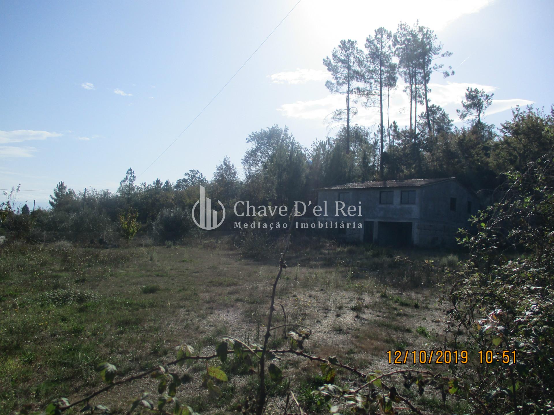 Terreno  Venda em Santiago de Cassurrães e Póvoa de Cervães,Mangualde