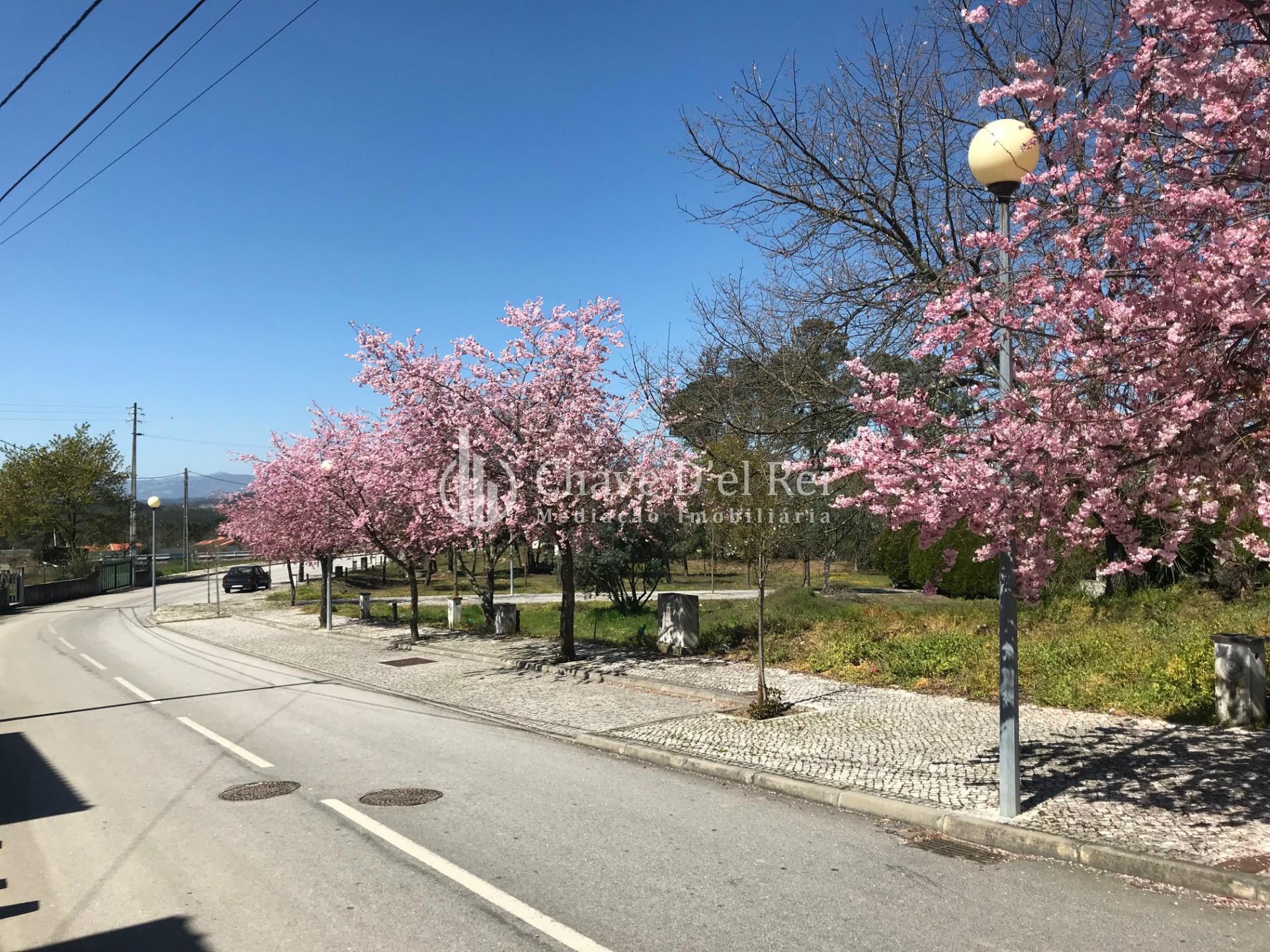 Lote de Terreno  Venda em Orgens,Viseu