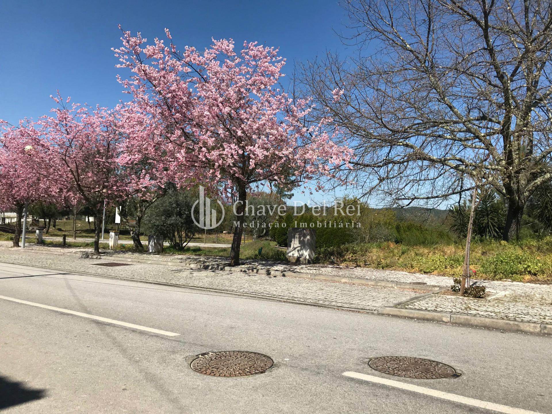 Lote de Terreno  Venda em Orgens,Viseu