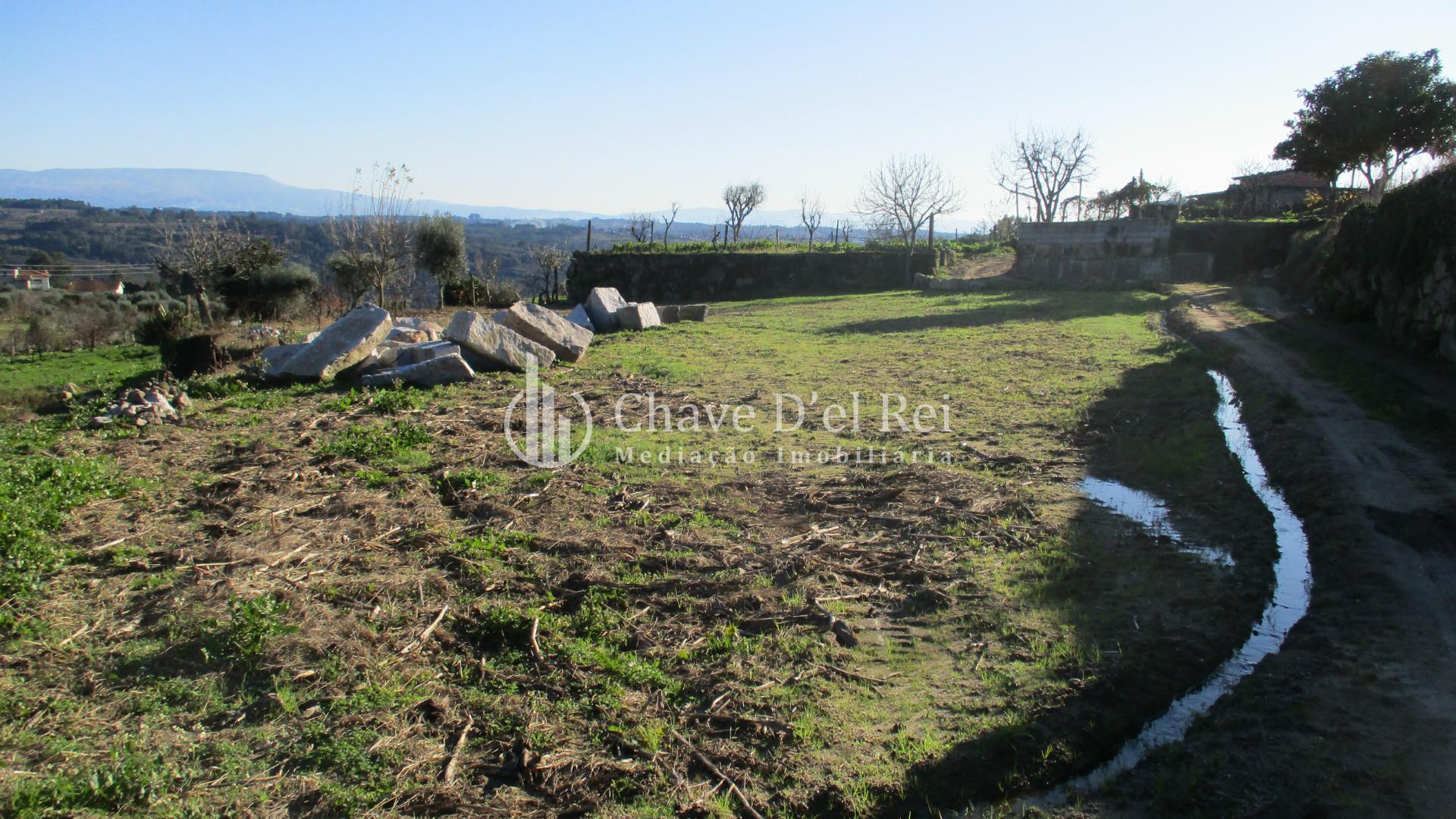 Quinta  Venda em São João de Lourosa,Viseu