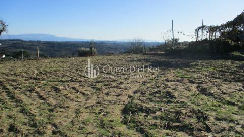 Quinta  Venda em São João de Lourosa,Viseu