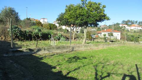 Quinta  Venda em São João de Lourosa,Viseu