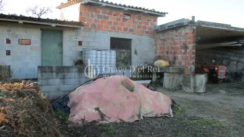 Quinta  Venda em São João de Lourosa,Viseu