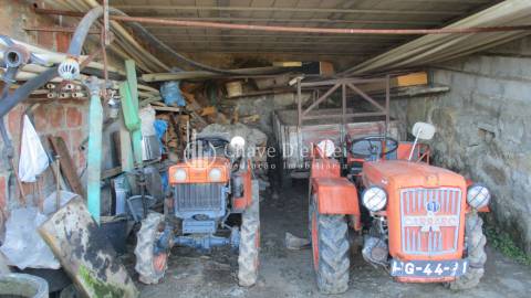 Quinta  Venda em São João de Lourosa,Viseu