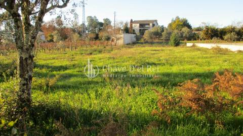 Quinta  Venda em São João de Lourosa,Viseu