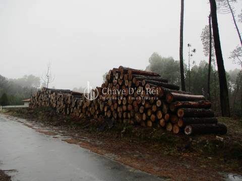 Terreno Para Construção  Venda em Ribafeita,Viseu