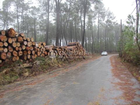 Terreno Para Construção  Venda em Ribafeita,Viseu