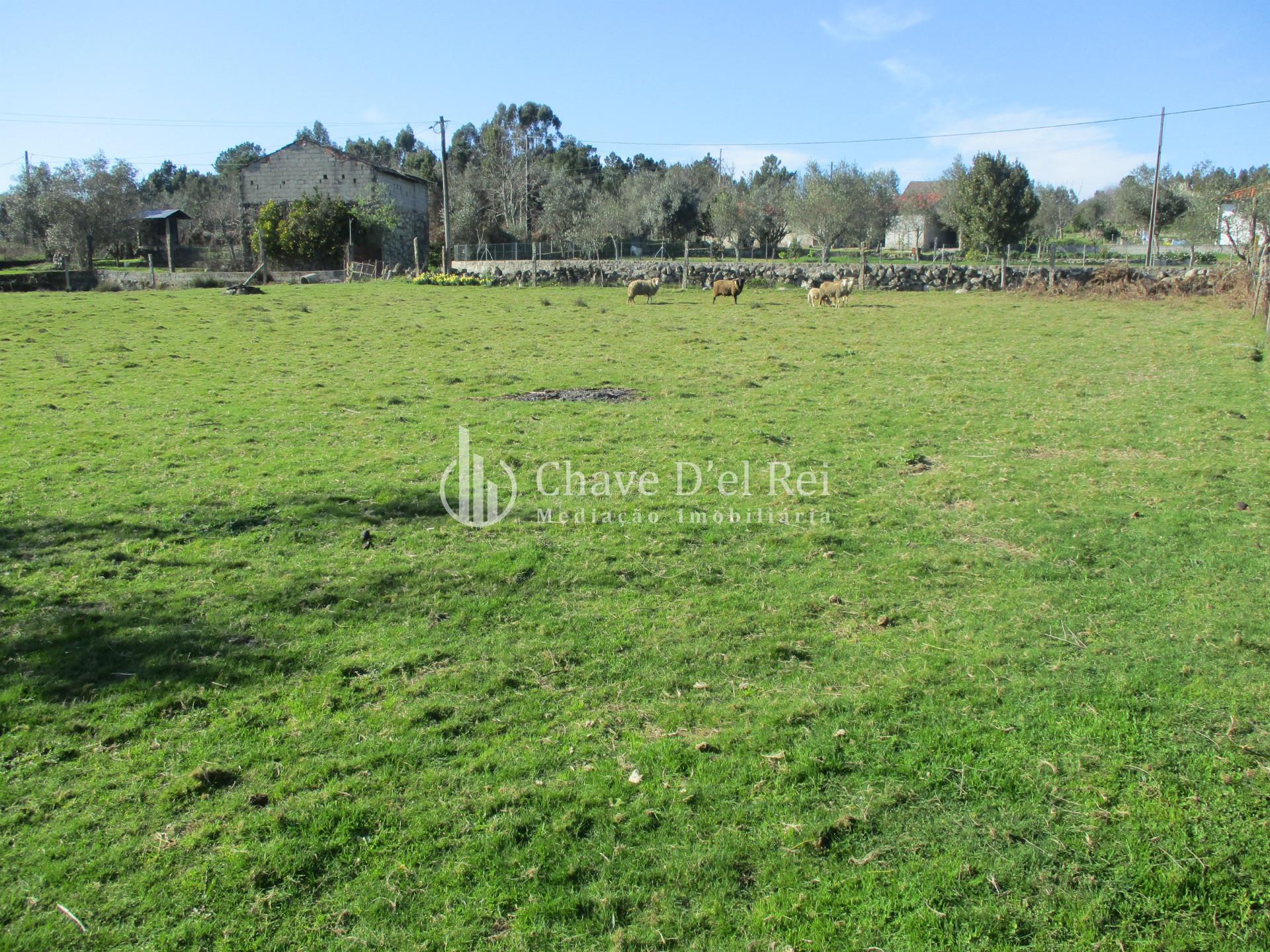 Terreno Para Construção  Venda em Campo,Viseu