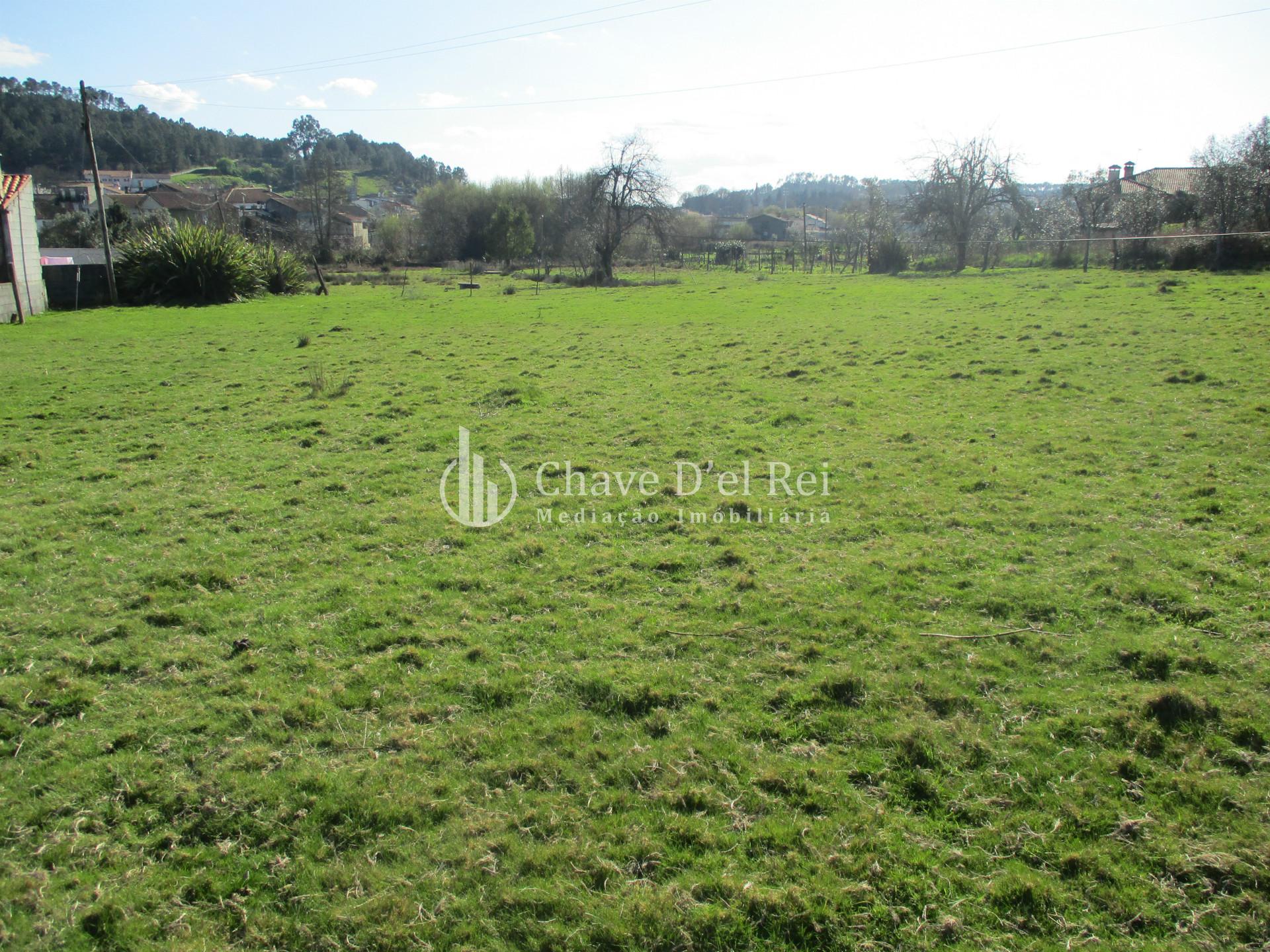 Terreno Para Construção  Venda em Campo,Viseu