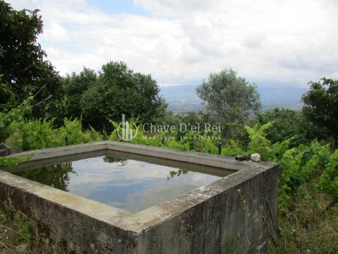 Quintinha  Venda em Santiago de Cassurrães e Póvoa de Cervães,Mangualde