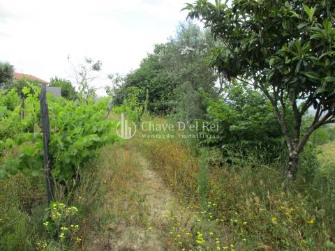 Quintinha  Venda em Santiago de Cassurrães e Póvoa de Cervães,Mangualde