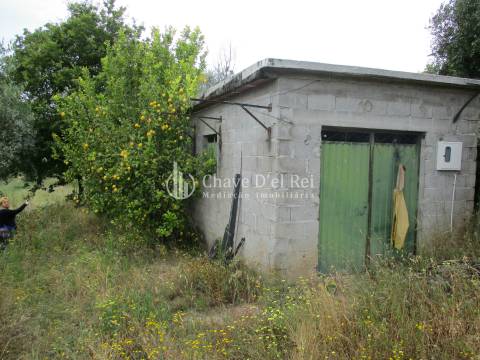 Quintinha  Venda em Santiago de Cassurrães e Póvoa de Cervães,Mangualde