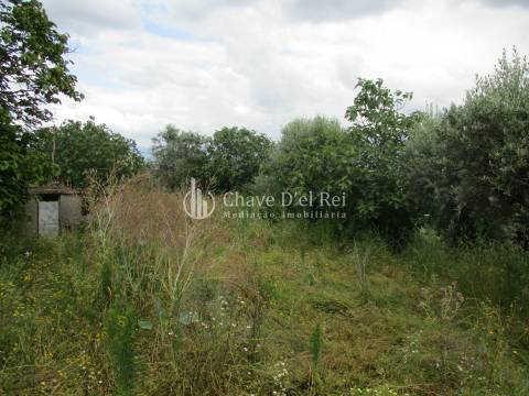 Quintinha  Venda em Santiago de Cassurrães e Póvoa de Cervães,Mangualde