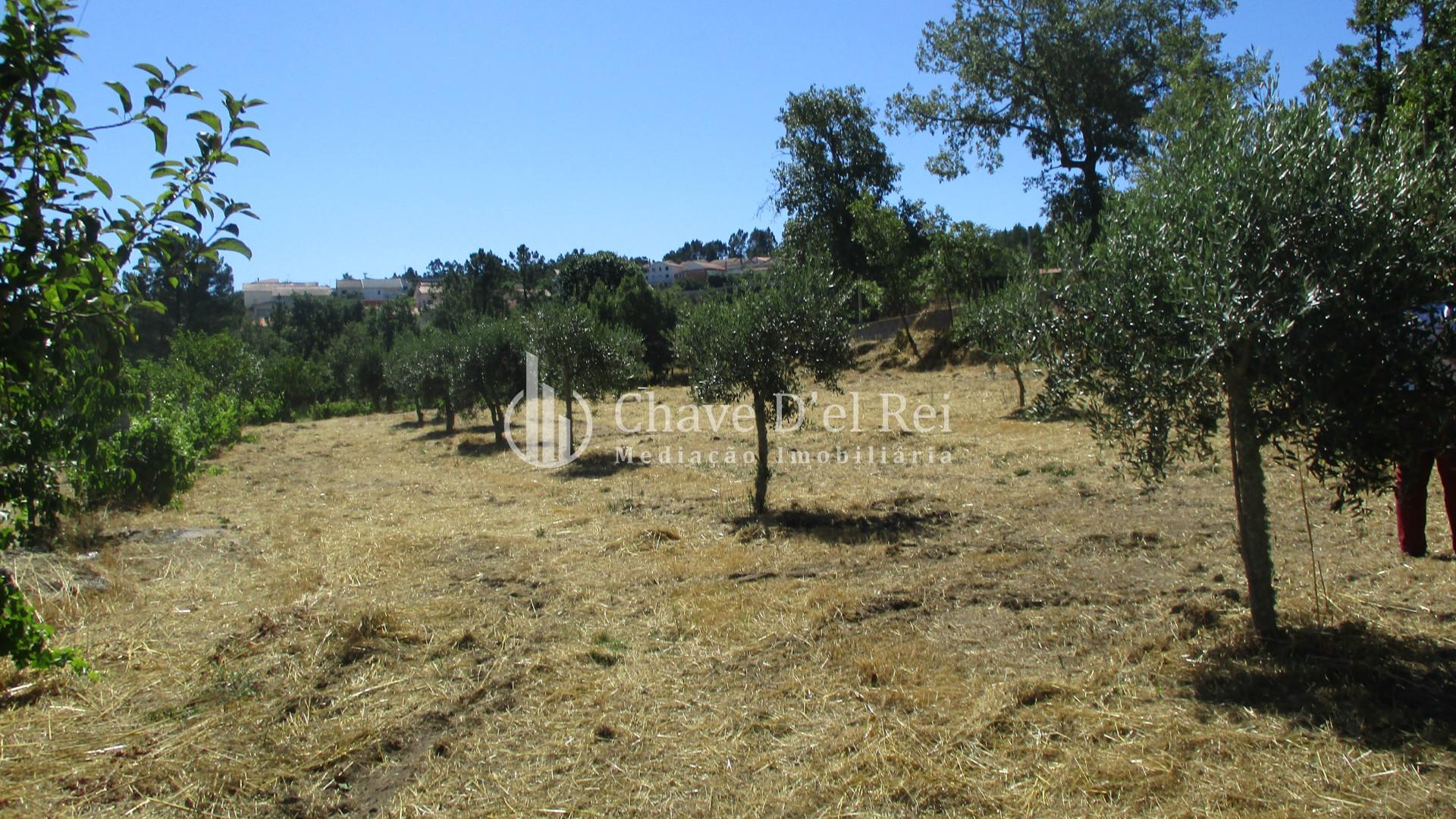 Quintinha  Venda em Freixiosa,Mangualde