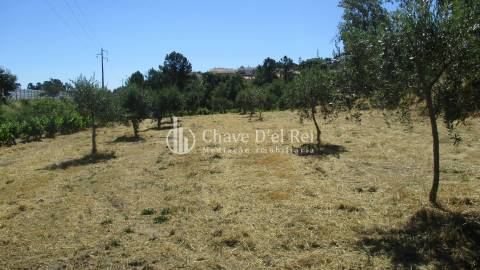 Quintinha  Venda em Freixiosa,Mangualde