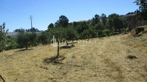 Quintinha  Venda em Freixiosa,Mangualde