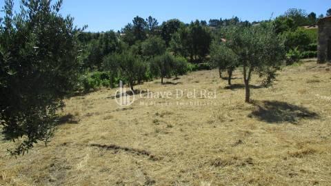 Quintinha  Venda em Freixiosa,Mangualde
