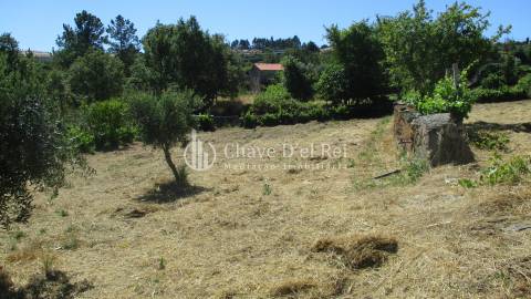 Quintinha  Venda em Freixiosa,Mangualde
