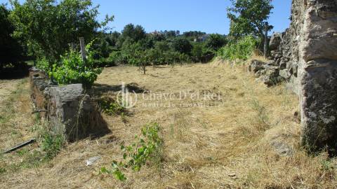 Quintinha  Venda em Freixiosa,Mangualde