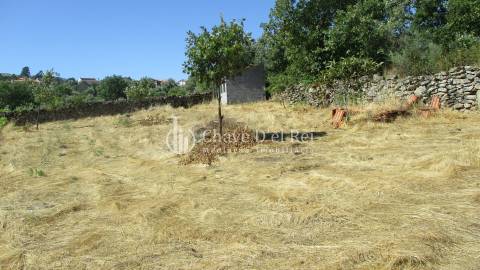 Quintinha  Venda em Freixiosa,Mangualde