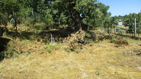 Quintinha  Venda em Freixiosa,Mangualde