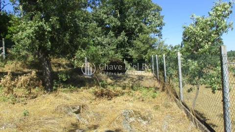 Quintinha  Venda em Freixiosa,Mangualde