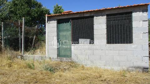 Quintinha  Venda em Freixiosa,Mangualde