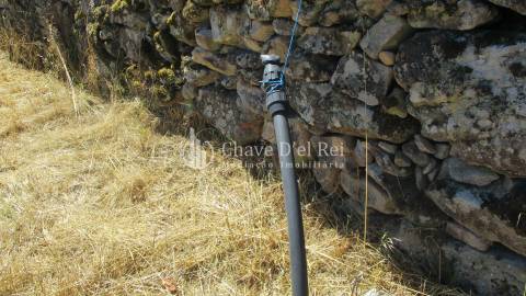 Quintinha  Venda em Freixiosa,Mangualde