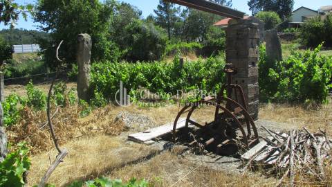 Quintinha  Venda em Freixiosa,Mangualde