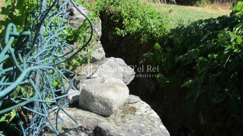 Quintinha  Venda em Freixiosa,Mangualde