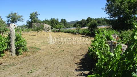 Quintinha  Venda em Freixiosa,Mangualde