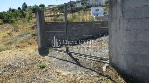 Terreno  Venda em Freixiosa,Mangualde