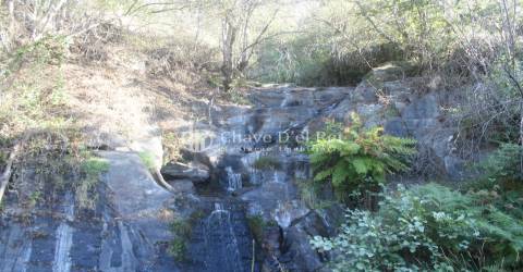 Quinta  Venda em Parada de Ester e Ester,Castro Daire