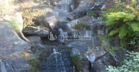 Quinta  Venda em Parada de Ester e Ester,Castro Daire