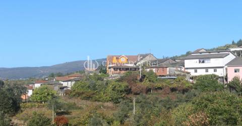 Quinta  Venda em Parada de Ester e Ester,Castro Daire