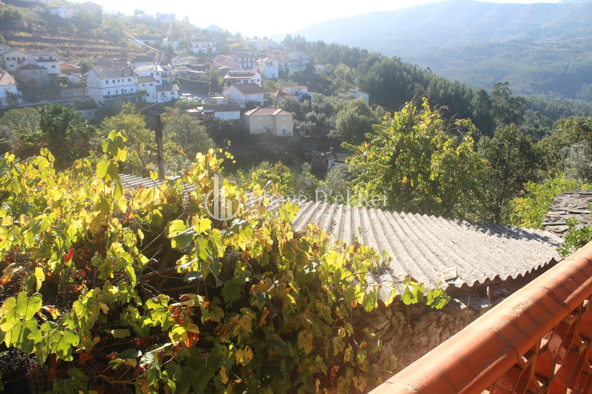 Quinta  Venda em Parada de Ester e Ester,Castro Daire